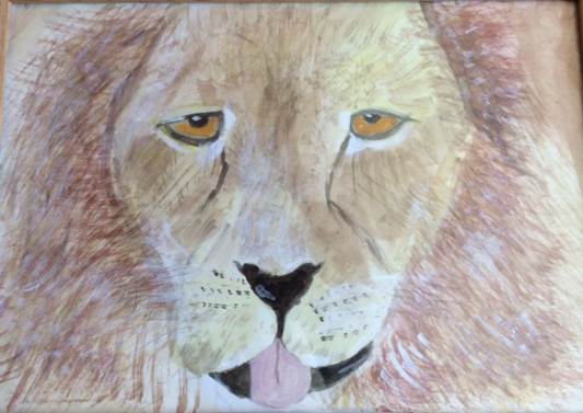 A lion looking at the camera

Description automatically generated